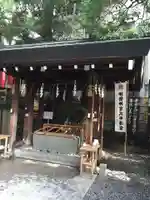 東京大神宮の手水舎