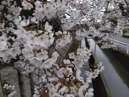 大和神社(新潟県)