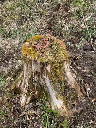 中ノ沢観音堂の自然