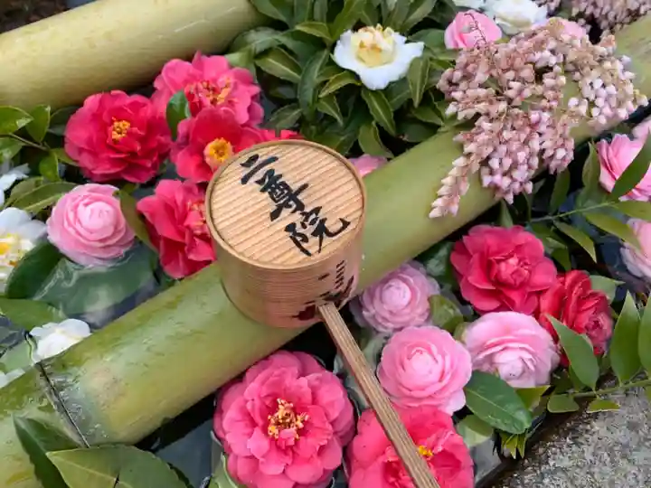 二尊院の手水舎