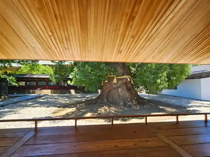 上野東照宮(東京都)