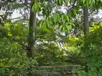 牟尼蔵院(奈良県)