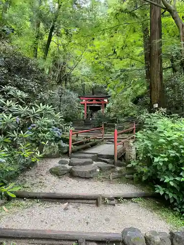 岡寺（龍蓋寺）(奈良県)