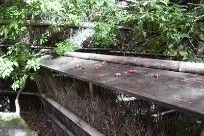 祇王寺のその他建物