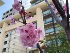 大日霊女神社の自然