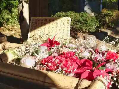 狭山八幡神社の{uncategorized: "未分類", other: "その他", undefined: "問題あり", building: "その他建物", grave: "お墓", sacred_gate: "鳥居", guardian: "狛犬", statue: "像", buddha: "仏像", history: "歴史", nature: "自然", garden: "庭園", animal: "動物", pagoda: "塔", temizu: "手水舎", mountain_gate: "山門・神門", sanctuary: "本殿・本堂", subordinate: "末社・摂社", art: "芸術", scenery: "景色", jizo: "地蔵", ema: "絵馬", goshuin: "御朱印", omikuji: "おみくじ", items: "授与品その他", amulet: "お守り", goshuincho: "御朱印帳", eats: "食事", festival: "お祭り", votive_dance: "神楽", shichigosan: "七五三参", wedding: "結婚式", experience: "体験その他", initially: "初詣", around: "周辺", anti_infection: "感染症対策"}