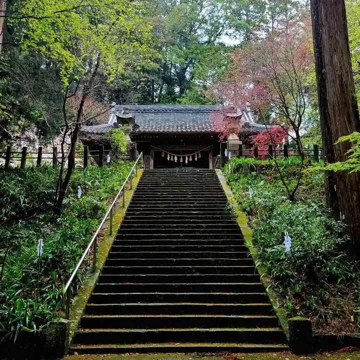 雨櫻神社(静岡県)