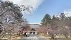 仁和寺の建物その他