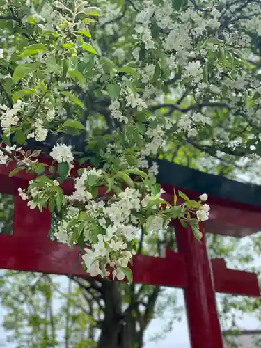 釧路一之宮 厳島神社の自然