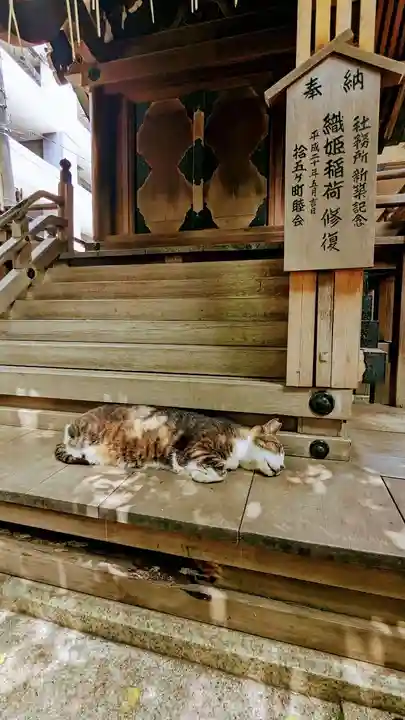 小野照崎神社の動物