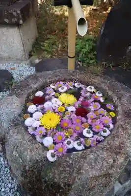 千手寺(大阪府)