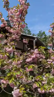 本満寺(本願満足寺)(京都府)