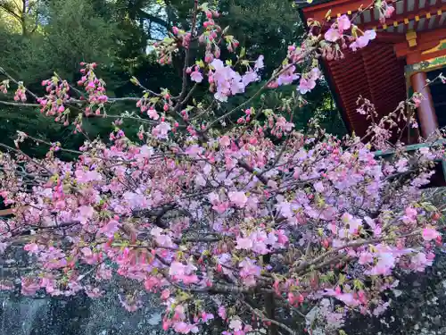 久能山東照宮(静岡県)
