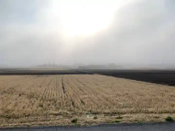 子野神社の周辺