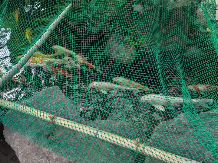 龍眼寺(萩寺)(東京都)