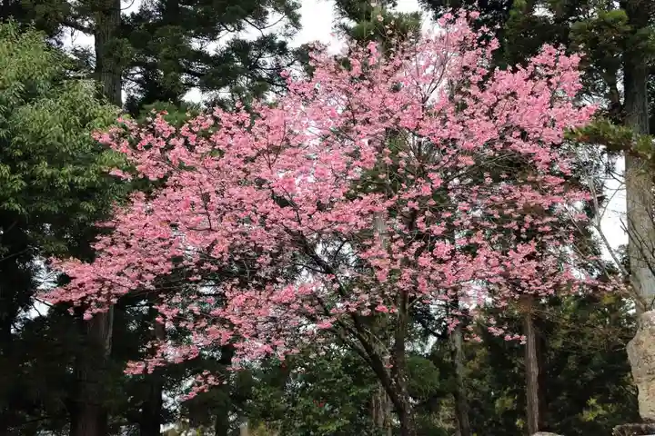 長橋神社の庭園