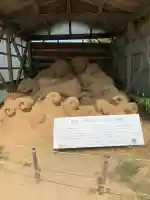 白兎神社(鳥取県)