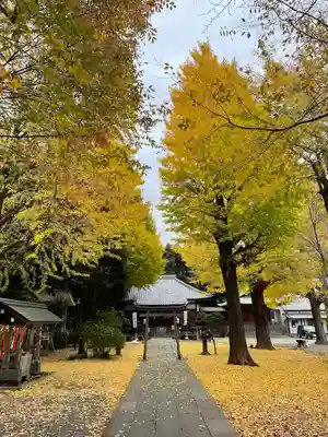 平塚神社(東京都)