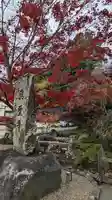 興聖寺(興聖寶林禅寺)(京都府)