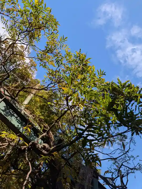 國領神社(東京都)