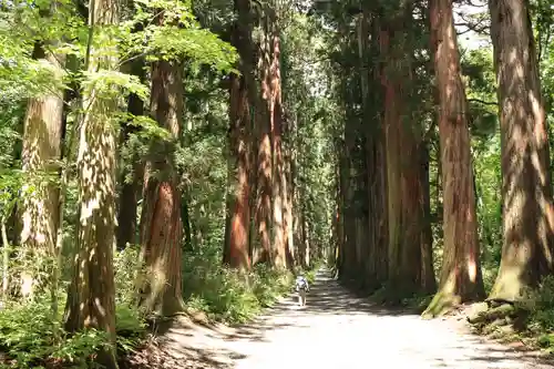 戸隠神社奥社(長野県)