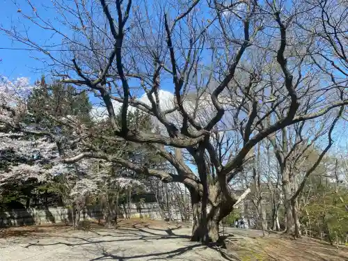 相馬神社(北海道)