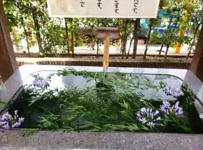 桜神宮(東京都)