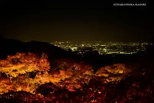 大山阿夫利神社の景色