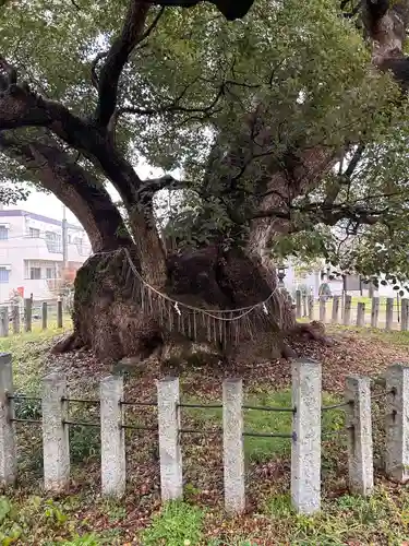 村上社(愛知県)