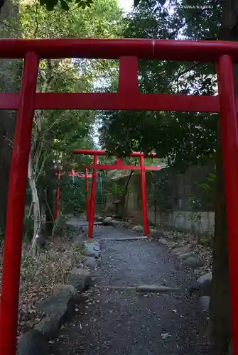 武蔵一宮氷川神社の鳥居