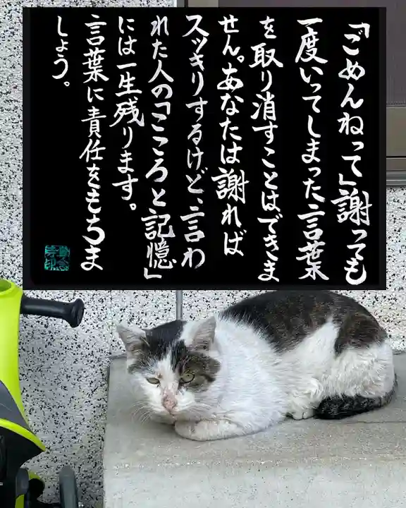 専念寺(大阪府)