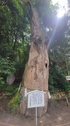 大山祇神社(愛媛県)