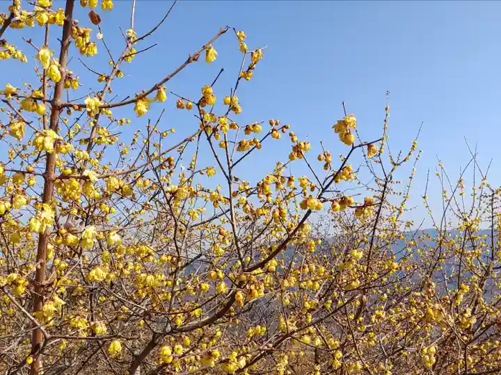 宝登山神社(埼玉県)