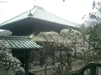 英勝寺のその他建物