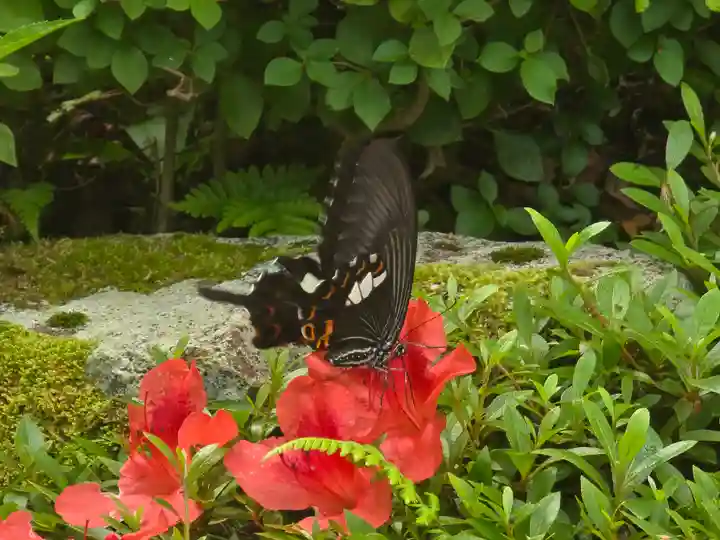 西明寺(滋賀県)