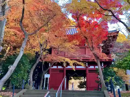 本土寺(千葉県)