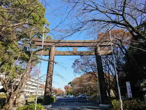 愛知縣護國神社の鳥居