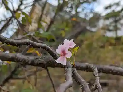 妙蓮寺(京都府)