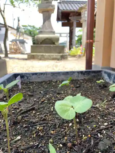 總社 和田八幡宮(福井県)
