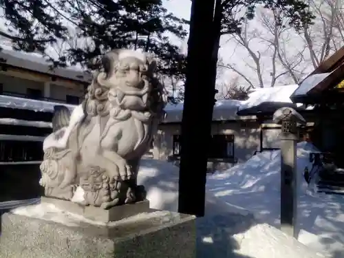 新琴似神社の狛犬