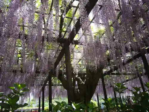 玉敷神社の庭園