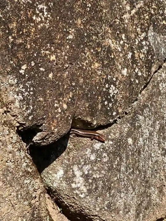 落合白山神社(東京都)