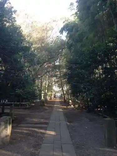 喜多見氷川神社の自然