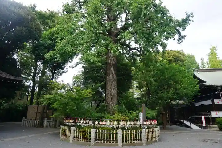 七社神社の自然