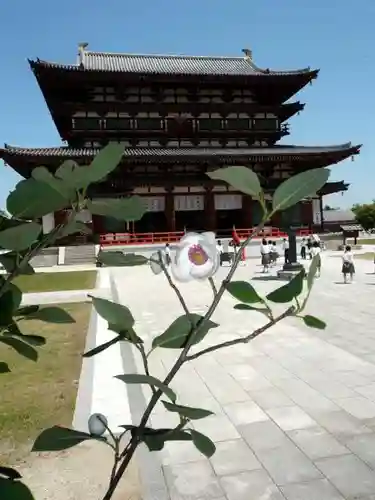 薬師寺のその他建物