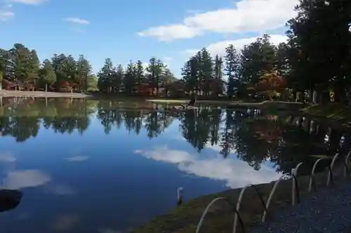 毛越寺の庭園