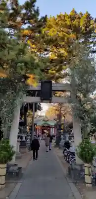 柴又八幡神社の鳥居