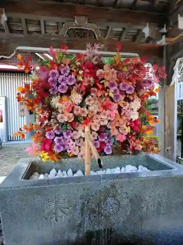 金蛇水神社の{uncategorized: "未分類", other: "その他", undefined: "問題あり", building: "その他建物", grave: "お墓", sacred_gate: "鳥居", guardian: "狛犬", statue: "像", buddha: "仏像", history: "歴史", nature: "自然", garden: "庭園", animal: "動物", pagoda: "塔", temizu: "手水舎", mountain_gate: "山門・神門", sanctuary: "本殿・本堂", subordinate: "末社・摂社", art: "芸術", scenery: "景色", jizo: "地蔵", ema: "絵馬", goshuin: "御朱印", omikuji: "おみくじ", items: "授与品その他", amulet: "お守り", goshuincho: "御朱印帳", eats: "食事", festival: "お祭り", votive_dance: "神楽", shichigosan: "七五三参", wedding: "結婚式", experience: "体験その他", initially: "初詣", around: "周辺", anti_infection: "感染症対策"}