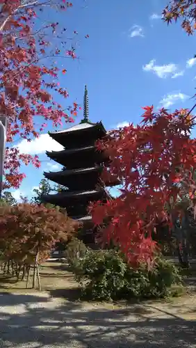 仁和寺の庭園