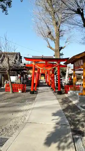 於菊稲荷神社の鳥居